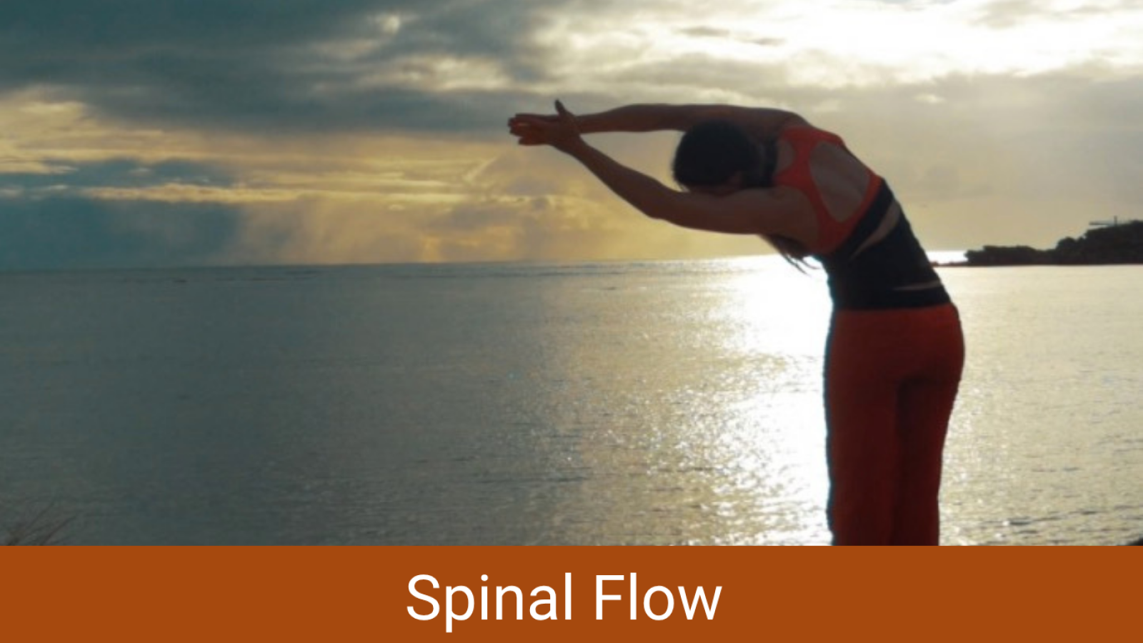 Movement practices designed to support mobility, ease and connection from your core.