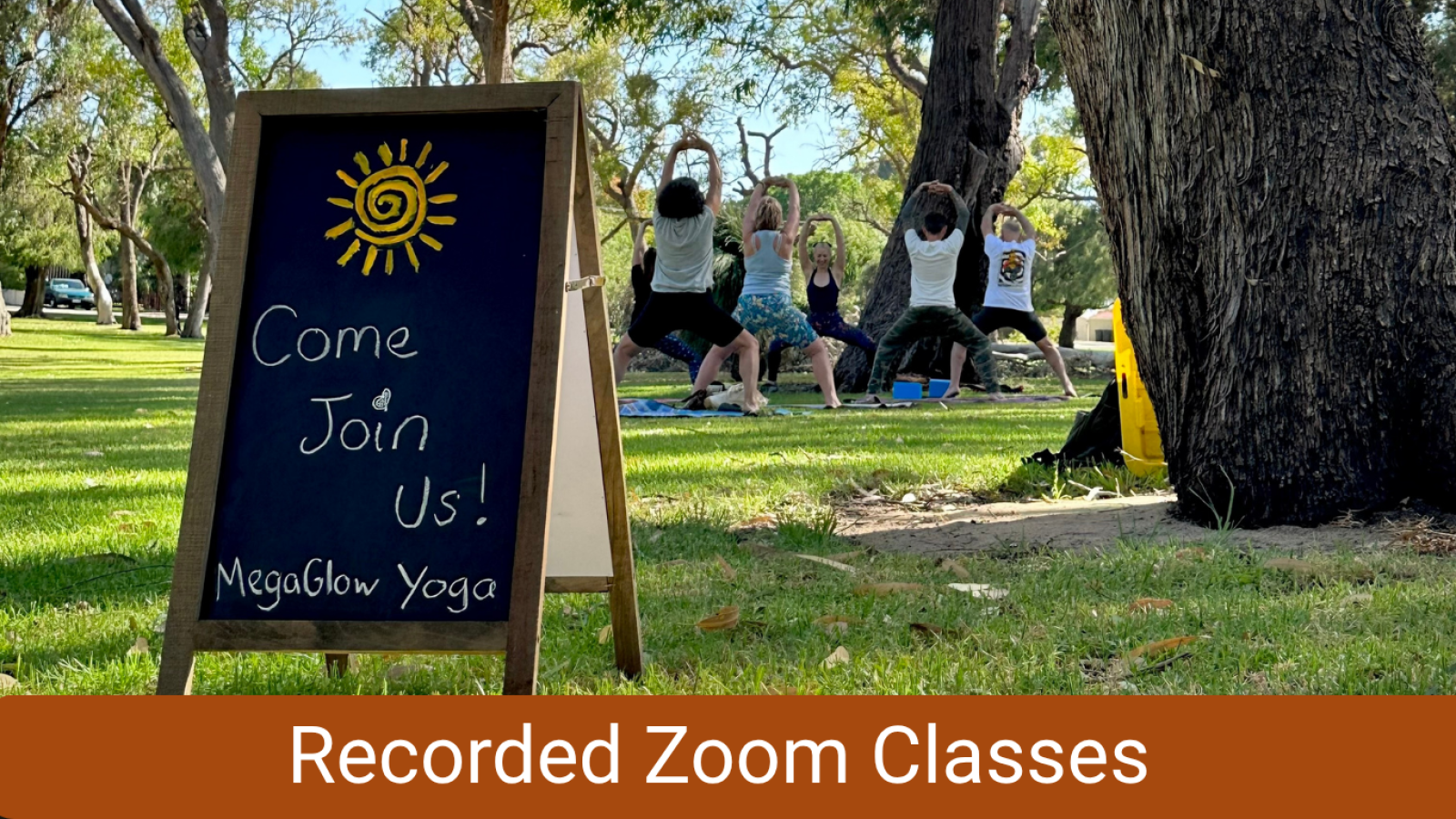 Authentic recordings from live classes, included with membership or available as individual rentals.